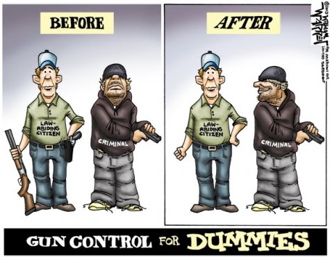 gun control for dummies