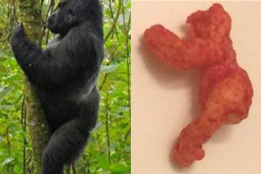 Harambe-shaped cheeto to sell for nearly 100K