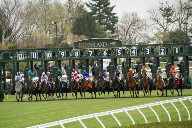 and theyre off as the horses leave the starting gates at Keeneland