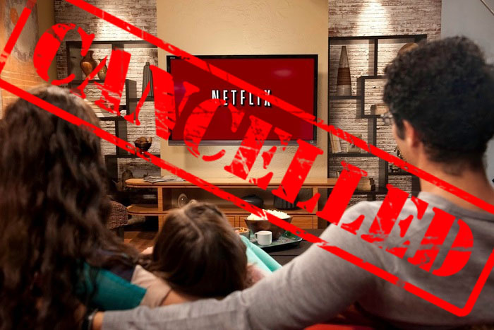Netflix cancels fan favorites