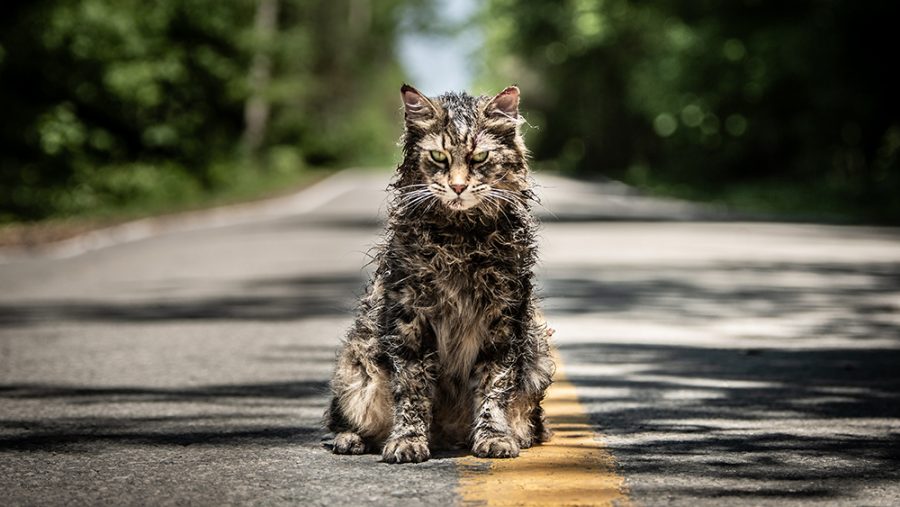 PET SEMATARY, from Paramount Pictures. (Kerry Hayes) courtesy of Variety.com