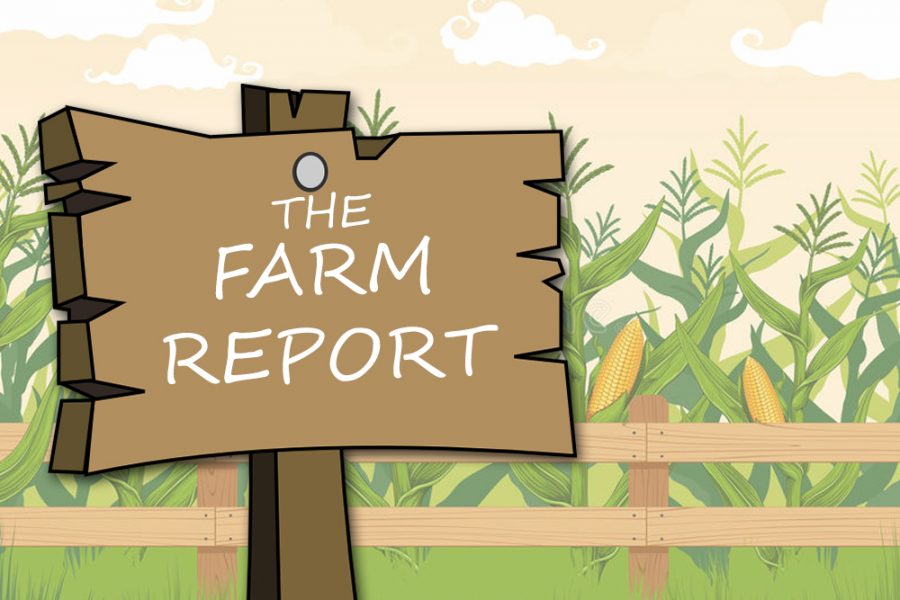 Farm Report Episode 2: Lake Edition