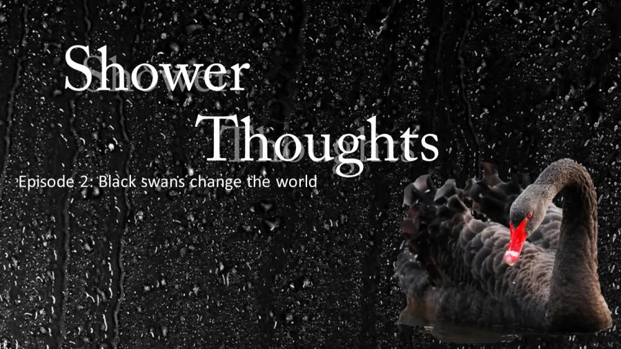 Black+swan+events+change+the+world