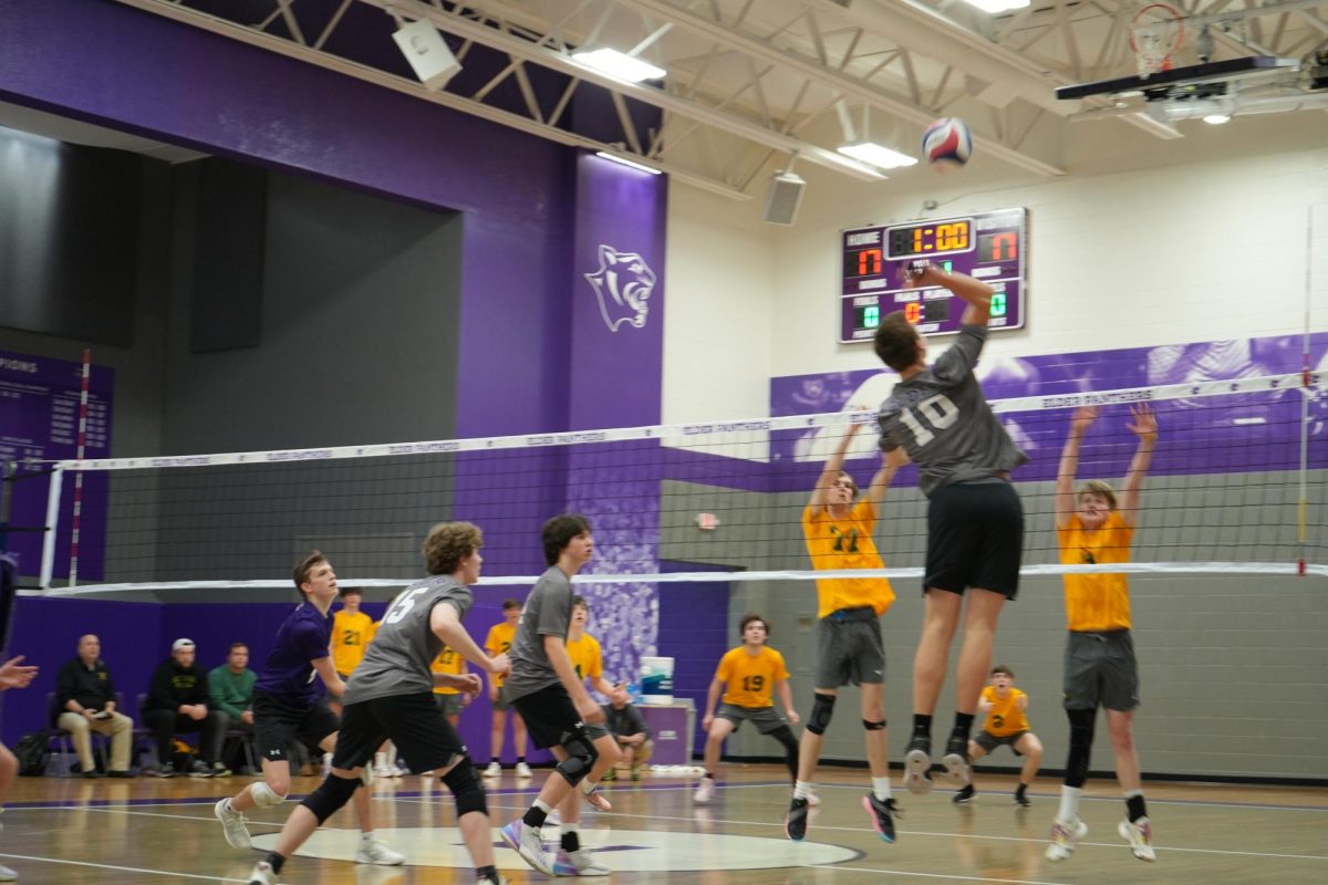 Volleyball action at Elder is always high-flying and exciting.